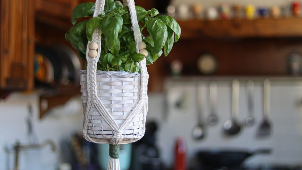 Beautiful Macramé Plant Hanger Ideas