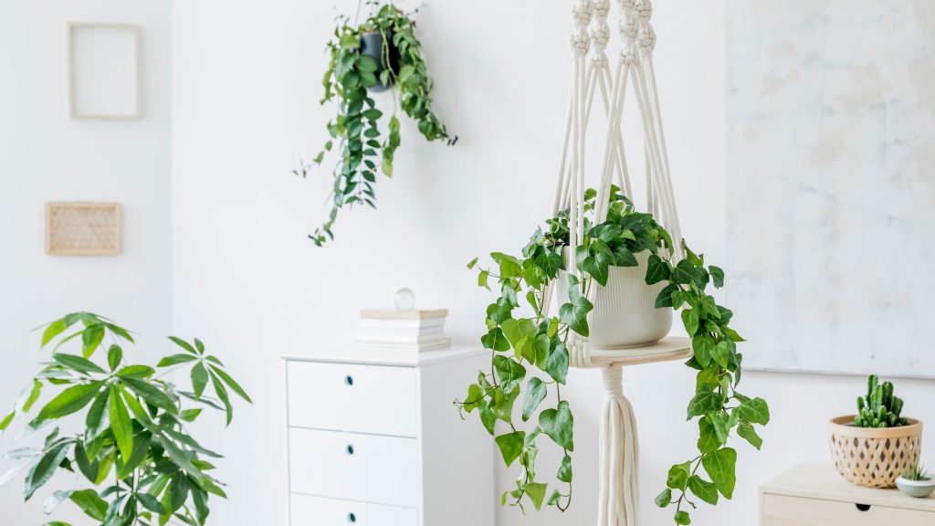 Beautiful Macramé Plant Hanger Ideas